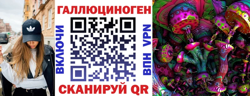 Купить  Калининск  Галлюциногенные грибы Psilocybine cubensis 